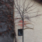 gr. Széchenyi Istvánra emlékezünk