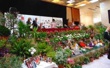 „A legszebb konyhakertek” című program/verseny díjátadás - FOTÓKKAL