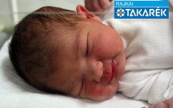 Bertalan Gréta, Győrladamér