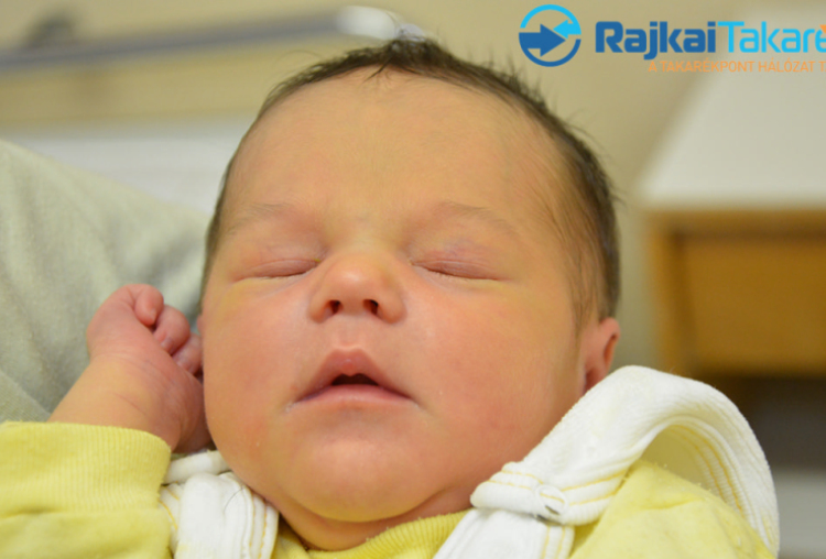 Major Bíborka, 3200 gr. Mosonszolnok