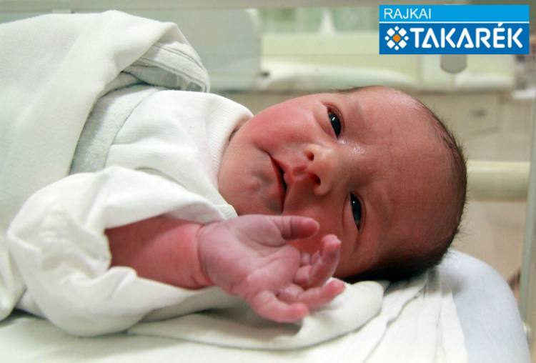 Knolmár Anna, Csorna