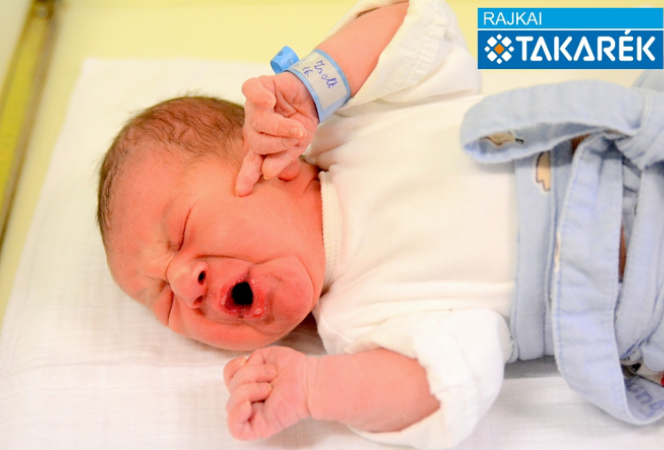 Molnár Zsolt, Hegyeshalom