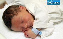 Makkai Áron Alexander, Mosonmagyaróvár