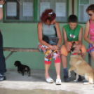 Mi a jó handler titka? - Szeminárium Turzó Jánossal (Fotó: Nagy Mária)