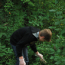 Szemétszedés a Kiserdőben (Fotó: Nagy Mária)