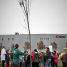 Kőrisfacsemetéket ültettek a diákok a Nolato Magyarország Kft telephelyén