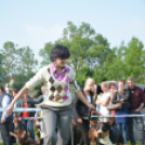 CAC kutyakiállítás (Fotó: Nagy Mária)