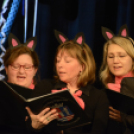 Farsangi vigasságok a Fehérló Közösségi házban