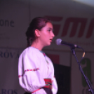 Szigetköz ízei, vármegye borai fesztivál - péntek (Fotó: Nagy Mária)