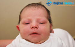 Bartal Maja, 3400 gr. Mosonmagyaróvár