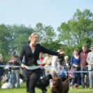 CAC kutyakiállítás (Fotó: Nagy Mária)