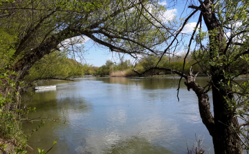 Szerencsésen végződött a vízitúrázás 