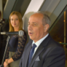 Dan Hrvata, Horvát Nap