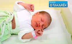 Sas Mia, Mosonmagyaróvár