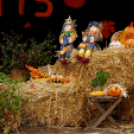 X. Jánossomorjai Tökfesztivál (Fotó: Horváth Attila)