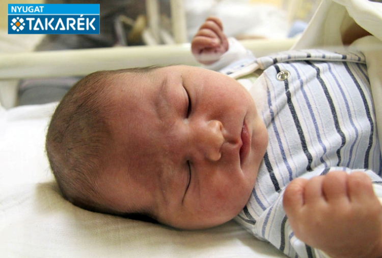 Szabó Lehel, Hegyeshalom