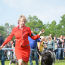 CAC kutyakiállítás (Fotó: Nagy Mária)