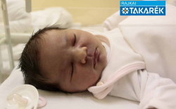 Lang Lili, Hegyeshalom