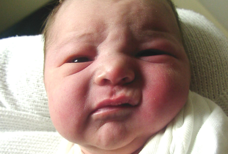 Tarsoly Levente-Levél