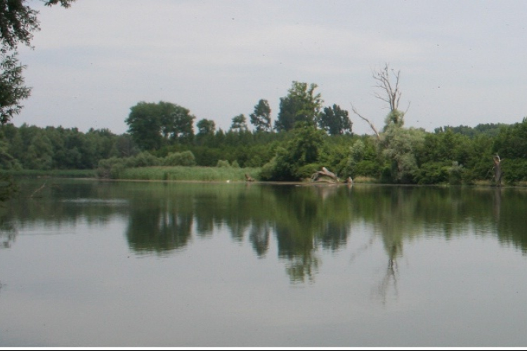 A Kisalföld gyöngyszemei - TERMÉSZETFOTÓ PÁLYÁZAT