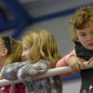 MKCSE VS GYŐRI AUDI ETO KC jótékonysági mérkőzés (Fotó: Horváth Attila)