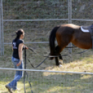 XI. Szigetköz ízei, Vármegye borai Fesztivál 2. nap Várárok