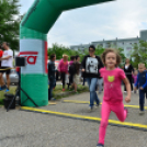 XII. Greiner Szigetköz Minimaraton (Fotó: Horváth Attila)