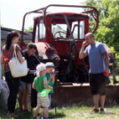 Pillangó Óvoda lovas nap és piknik (Fotó: Stipkovits Veronika)