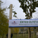 Országfásítási program Mosonmagyaróvár