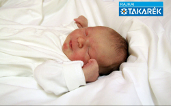 Gyergyovits Énok Zsolt, Mosonmagyaróvár