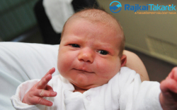 Németh Gergő, 3860 gr. Mosonmagyaróvár