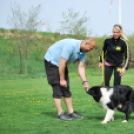 Agility - Hobby Kutyások részére (Fotó: Nagy Mária)