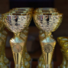 Sport és Egészségnap Mosonmagyaróvár (Fotó: Stipkovits Veronika és Bánhegyi István)