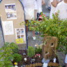 VII. Apró kezek, csodakertek Gyermek Kertépítő verseny