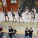 Nyárcsalogató (Fotó: Nagy Mária)