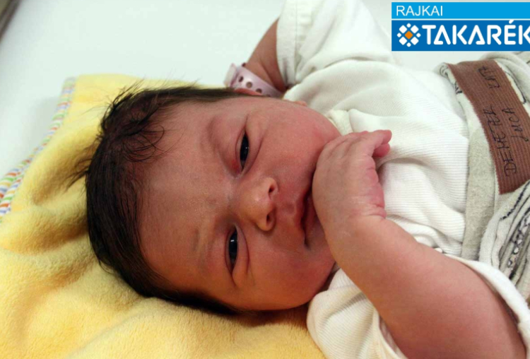 Demeter Luca Kata, Mosonszolnok