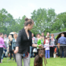 CAC kutyakiállítás (Fotó: Nagy Mária)