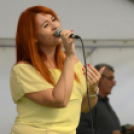 XI. Szigetköz ízei, Vármegye borai Fesztivál 3. nap