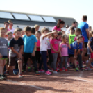 XV. Greiner Szigetköz Félmaraton