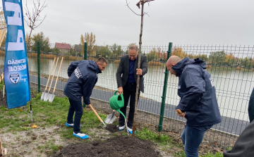 Harminc fát ültettek el a Báger-tónál