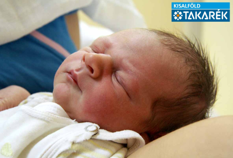 Horváth Noel, Mosonmagyaróvár