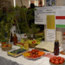 Termény- és virágkiállítás 