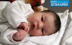 Tóth Léna, Jánossomorja