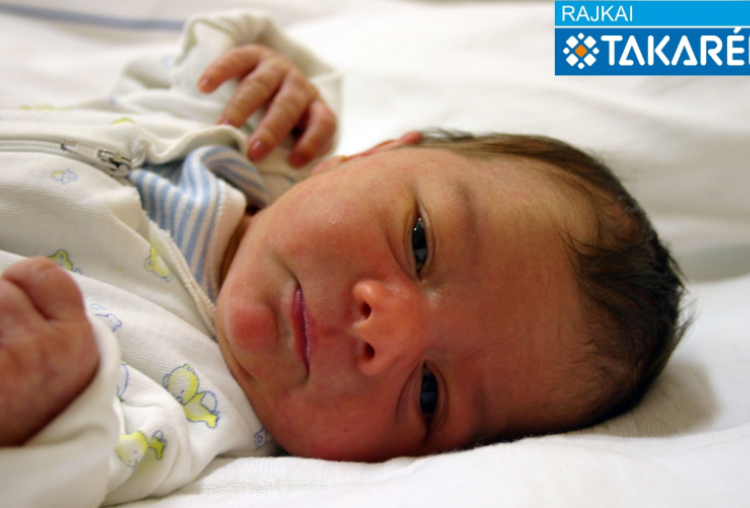 Orbán Krisztián, Levél