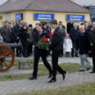 2015. MÁRCIUS 15. Mosonmagyaróvár (Fotó: Horváth Attila)