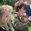 CAC kutyakiállítás (Fotó: Nagy Mária)