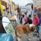 Gyereknap a Magyar utcán (Fotó: Nagy Mária)