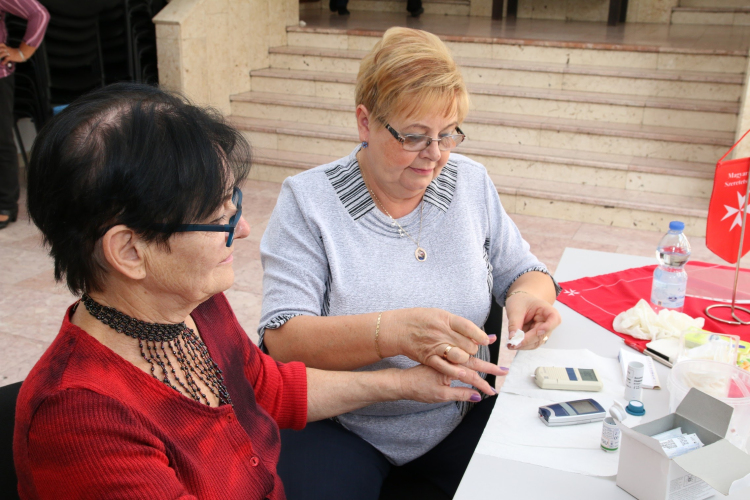 XVIII. Mosonmagyaróvári Civil Nap