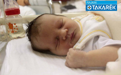 Brányi Bianka, Bősárkány