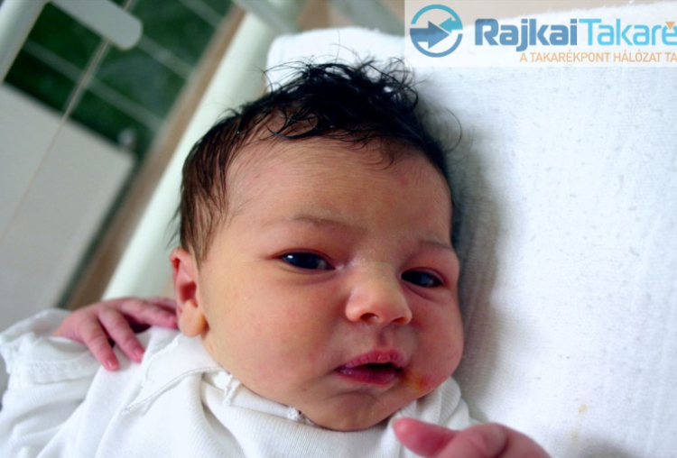 Nikovits Lili Krisztina, Csorna